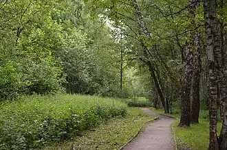 ПИП «Тушинcкий», Алешкинский лес