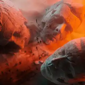 Обложка альбома Muse «Will of the People» (2022)