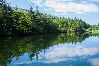 Озеро летом 2015 года