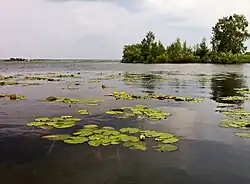 Озеро Афонькино