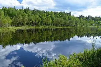 Бучкино болото