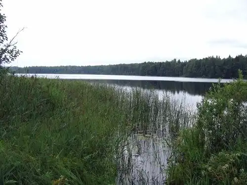 Озеро Ветчинское. 2 км