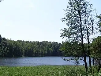 Озеро Глубокое, Демидовский район, Смоленская область