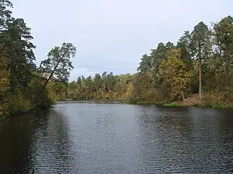 Пруд Горащиха на реке