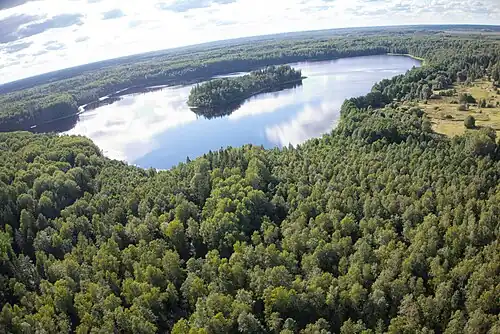Озеро Двинец — памятник природы. Справа поляна, на которой стояли дома д. Корякино