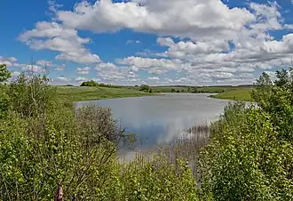 Вид на озеро Заячье. 30 мая 2017 года.