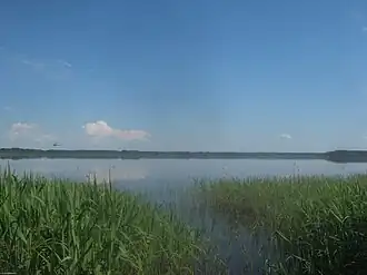 Вид из деревни Цикарево летом 2021 года