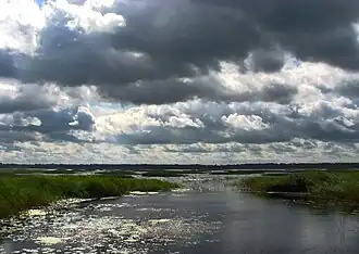 Вид на озеро Лобес с северного берега