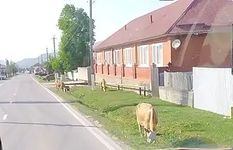 Северная часть села Ведено (Октябрьское), слева дорога со стороны Агишты и Махкеты