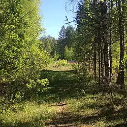 Полотно подъездного пути. Вид на юг.