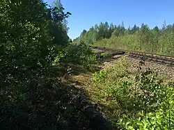 Разобранный боковой путь. Вид в сторону ст. Лоймола.