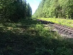 Вид в сторону ст. Лоймола.