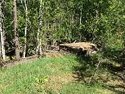 Ступени финского вокзала.