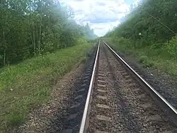 Пассажирская платформа. Вид в сторону Янисъярви.