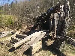 Развалины путейского сарая.