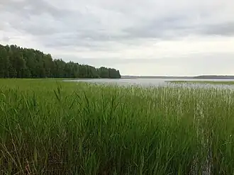 Северо-западная оконечность озера