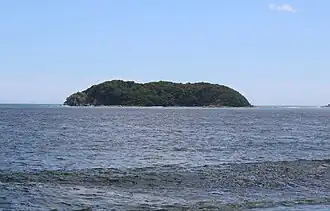 Остров Бельцова