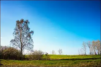 Поля Хренового острова