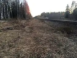 Разобранные боковые пути. Вид в сторону ст. Элисенваара.