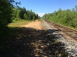 Разобранный боковой путь. Вид в сторону ст. Видлица.