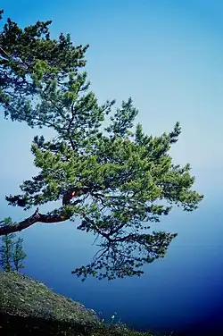 озеро Байкал