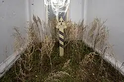 Павел Отдельнов. «Теча». 2021. Инсталляция