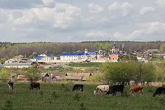 Панорама Жадовского монастыря.