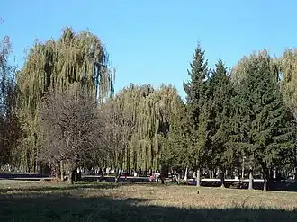 Парк в 2011 году