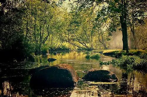 Усадебный парк в 2017 году