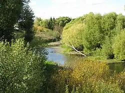 Возле села Парского