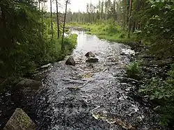 Вид против течения