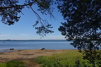 Вид на озеро Нюхти летом 2016 года.