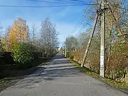 Вид от Бобыльской дороги