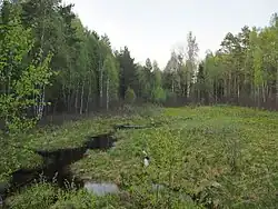 Верхнее течение Петровки