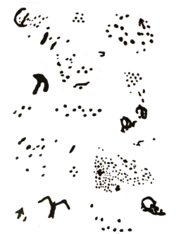 Петроглифы на правой стене пещеры