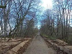 Пешеходная зона Кронштадтского шоссе, проходящая через заказник Западный Котлин