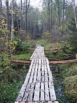 Пешеходный мост через Дрезну