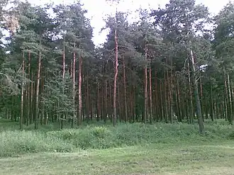 Вид с улицы Верности