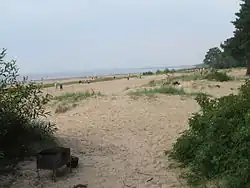 Пляж Сестрорецкого курорта