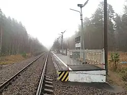 Вид в сторону ст. Прибылово.