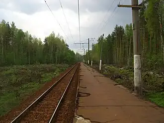 Вид в сторону ст. Невская Дубровка