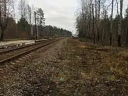 Разобранный боковой путь. Вид в сторону ст. Зеленогорск.