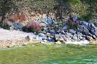 Побережье острова