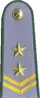 погоны 1973 мпс ссср