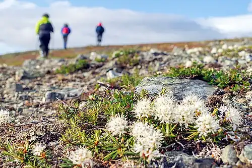 Природный парк «Полярно-Уральский»