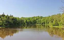 В Порецком лесничестве