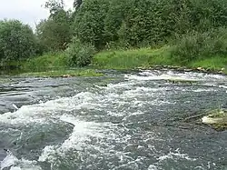 Пороги возле устья