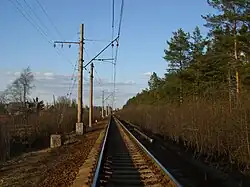 Участок 2 пл. - 1 пл., вид в сторону ст. Вырица