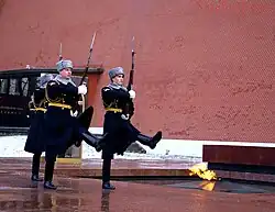 Почётный караул у Вечного огня на могиле Неизвестного солдата в Москве, 2015
