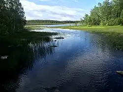 Вид против течения